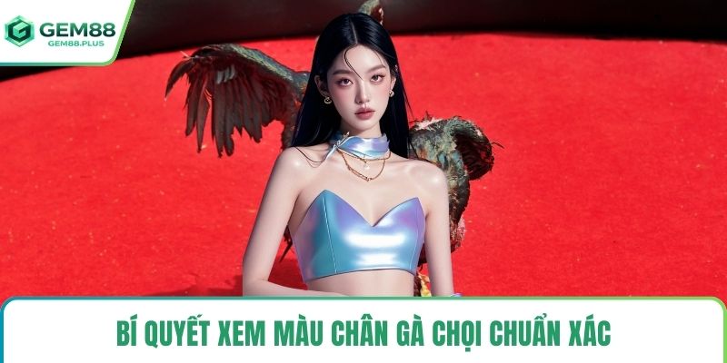 Bí quyết xem màu chân gà chọi chuẩn xác