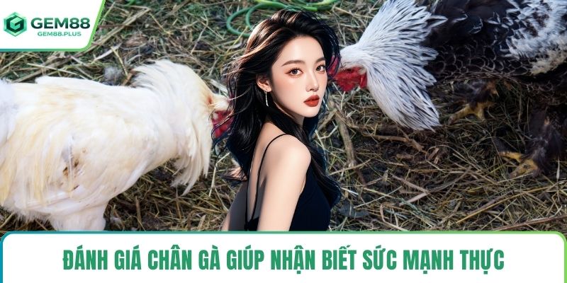 Đánh giá chân gà giúp nhận biết sức mạnh thực