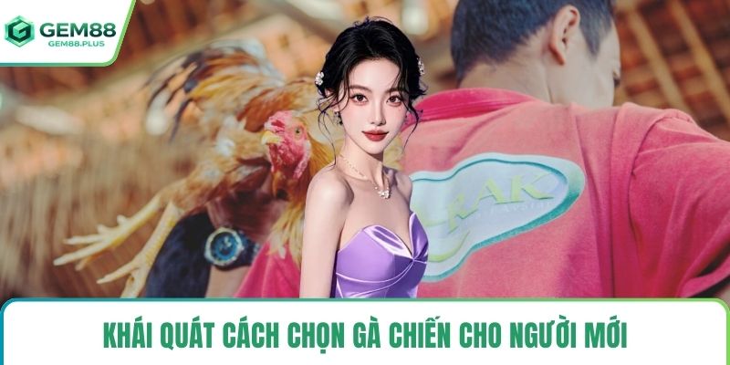 Khái quát cách chọn gà chiến cho người mới