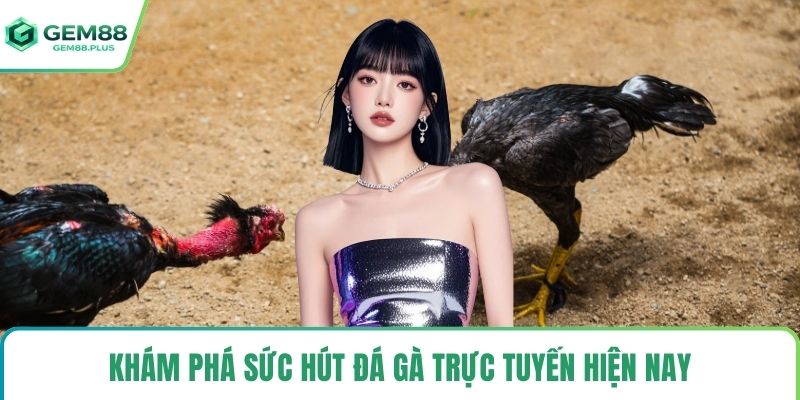 Khám phá sức hút đá gà trực tuyến hiện nay