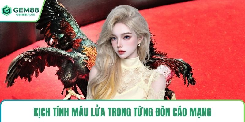 Kịch tính máu lửa trong từng đòn cáo mạng