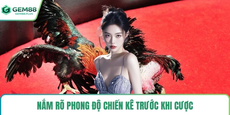 Nắm rõ phong độ chiến kê trước khi cược