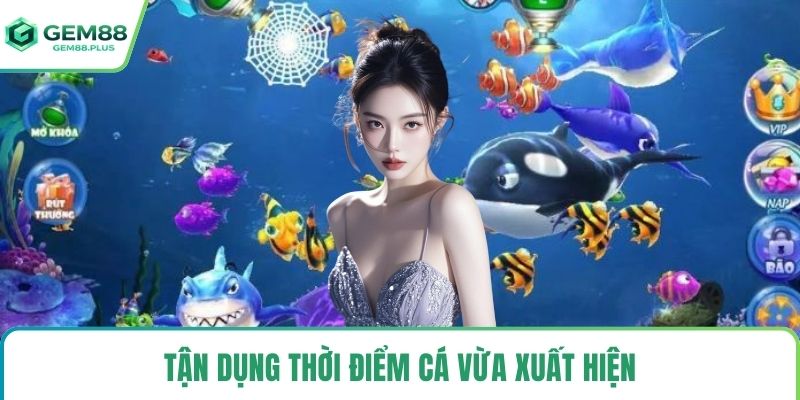 Tận dụng thời điểm cá vừa xuất hiện