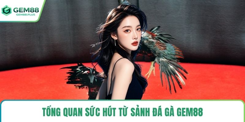 Tổng quan sức hút từ sảnh đá gà Gem88
